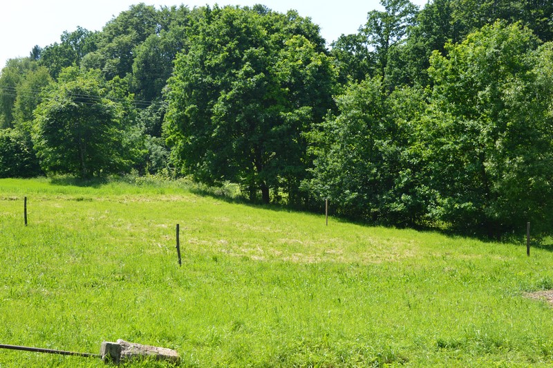 Zdjęcie do wpisu: Początki