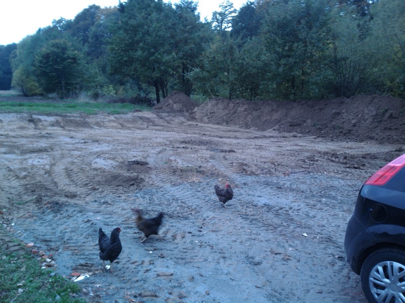 Zdjęcie do wpisu: Czekanieeeeee, Chomikowanie materiału i pierwsze w