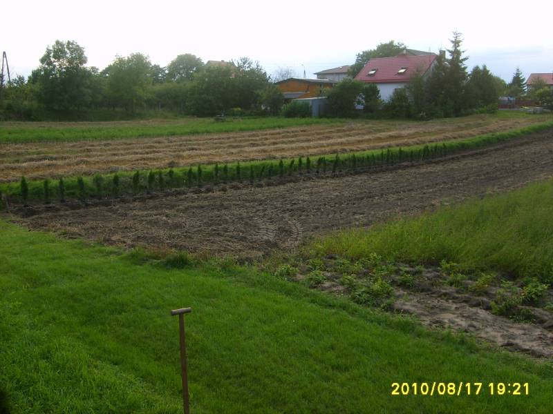 Zdjęcie do wpisu: działka