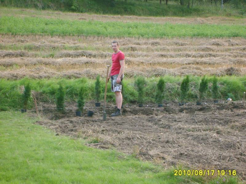 Zdjęcie do wpisu: działka-sadzenie drzewek