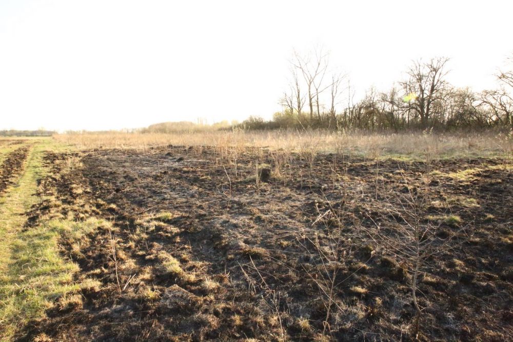 Zdjęcie do wpisu: Wiosenne porządkowanie działki.