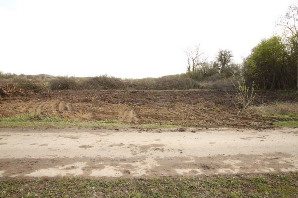 Zdjęcie do wpisu: Wiosenne porządkowanie działki.