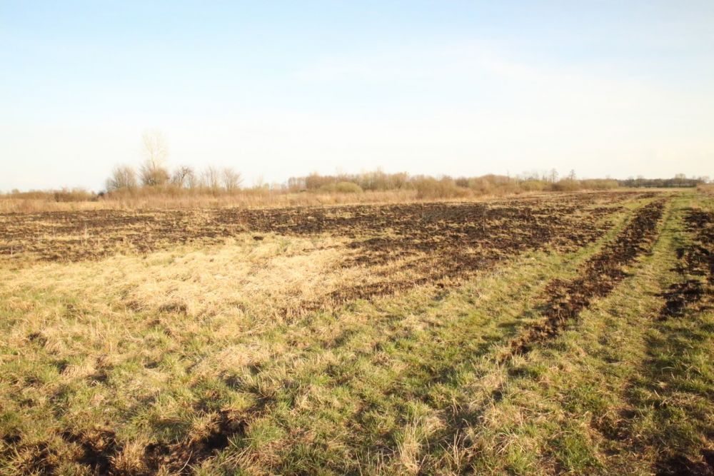 Zdjęcie do wpisu: Wiosenne porządkowanie działki.