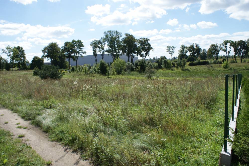 blog budowlany - mojabudowa.pl