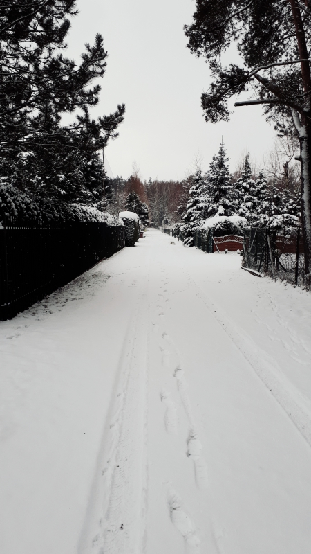 mojabudowa.pl - blog budowlany