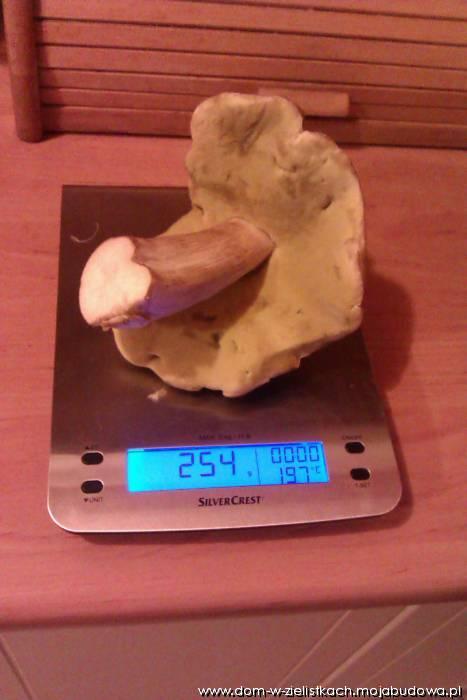 blog budowlany - mojabudowa.pl