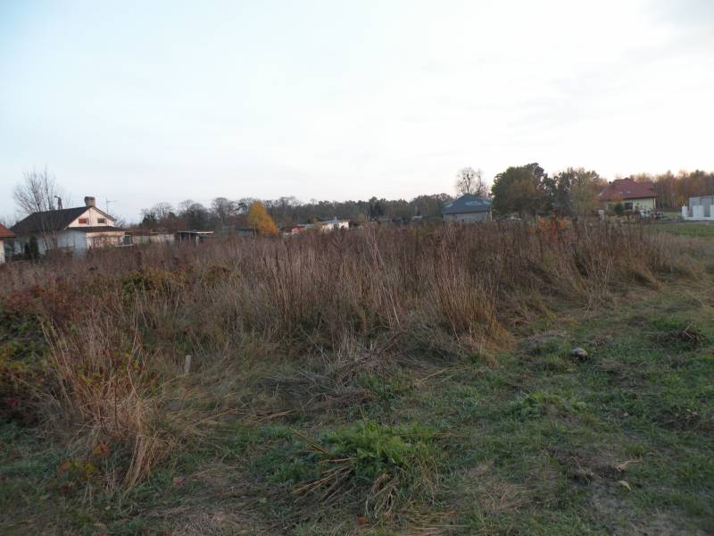 Zdjęcie do wpisu: Chyba nareszcie mi się udało!!!!