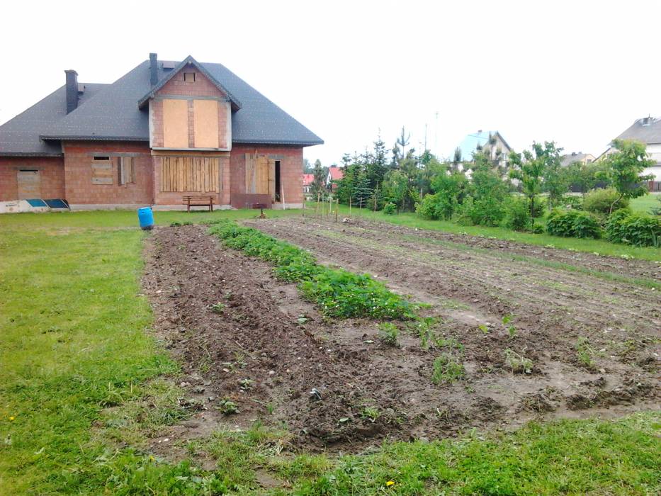 blog budowlany - mojabudowa.pl