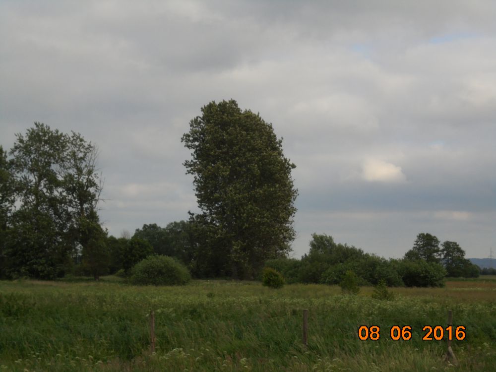 widok  z lewej strony
