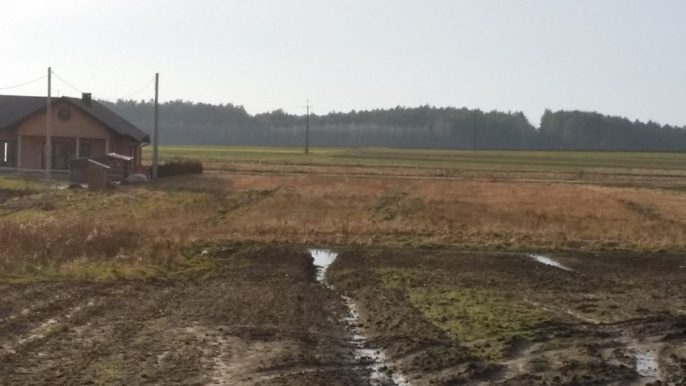 Zdjęcie do wpisu: Początek...