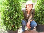 blog budowlany - avatar dzania