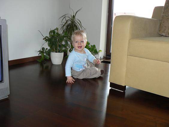 mojabudowa.pl - blog budowlany