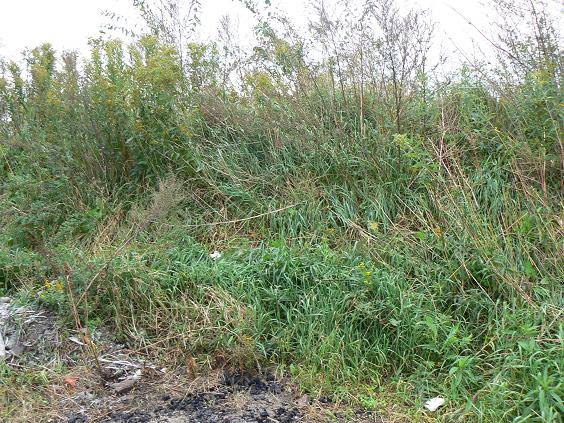 mojabudowa.pl - blog budowlany