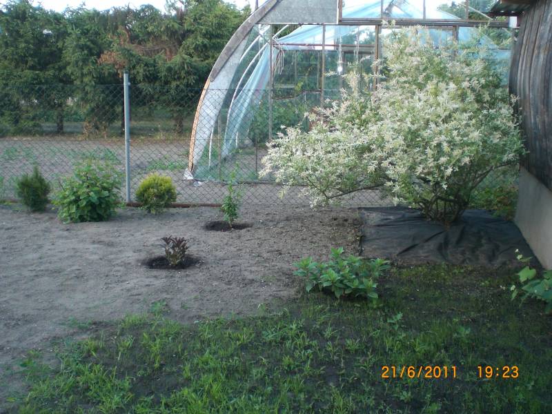 mojabudowa.pl - blog budowlany