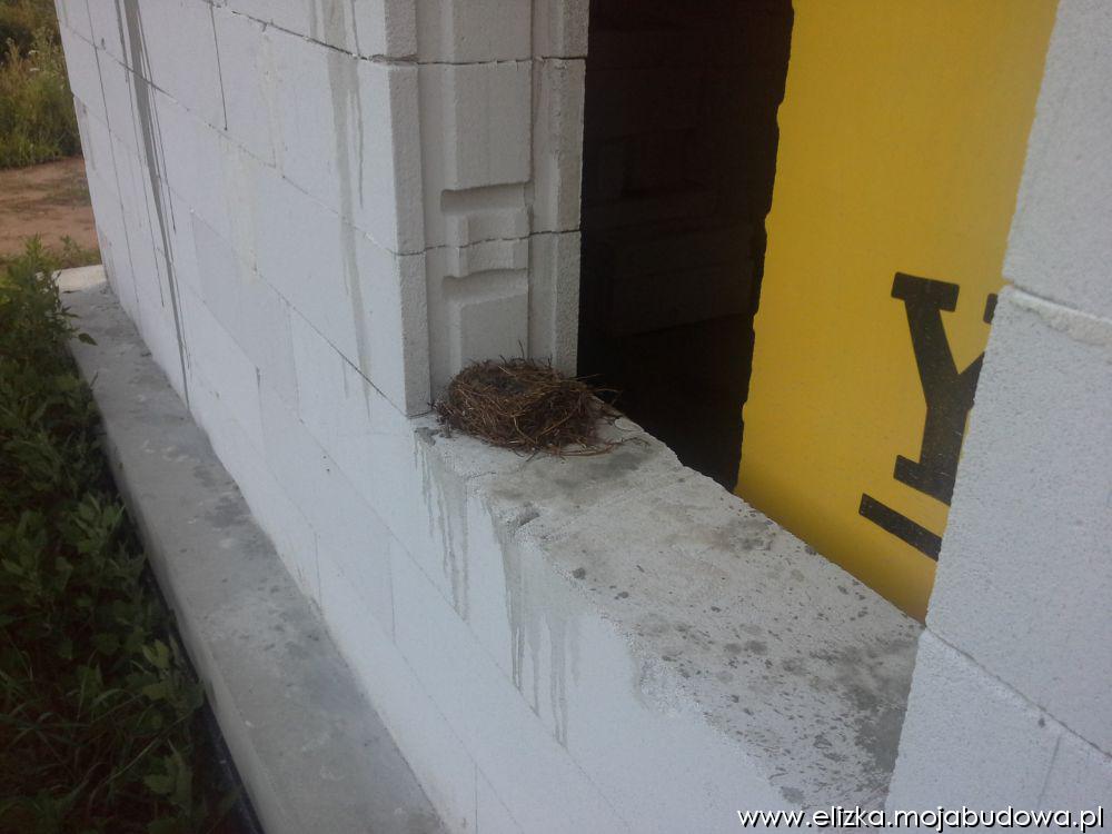 blog budowlany - mojabudowa.pl