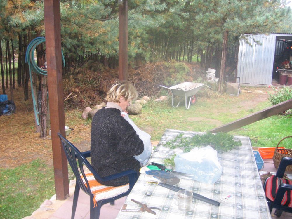 blog budowlany - mojabudowa.pl