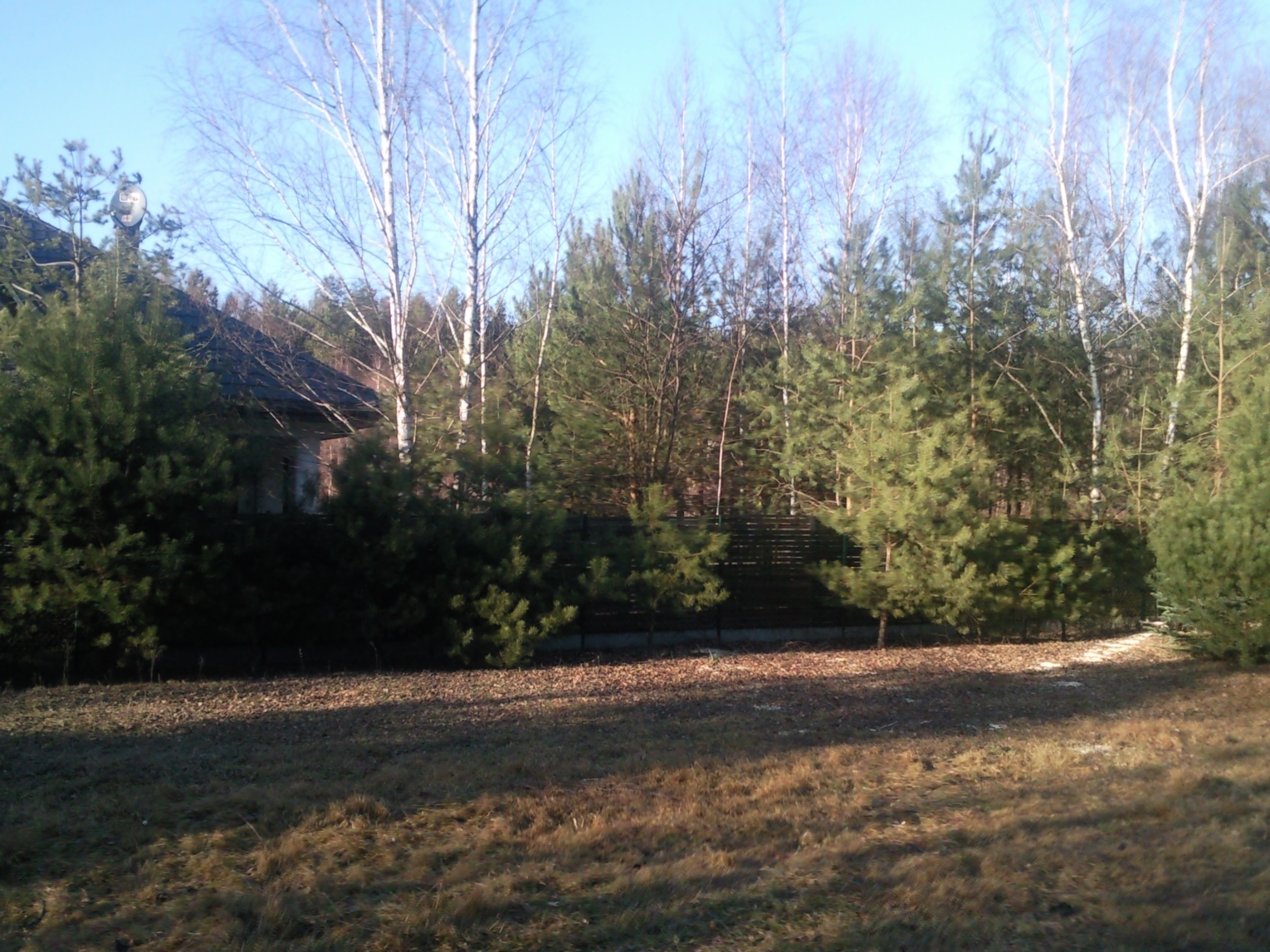 blog budowlany - mojabudowa.pl