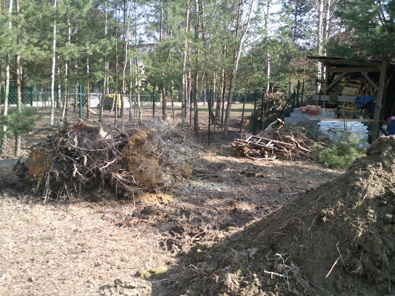 blog budowlany - mojabudowa.pl