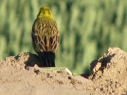 blog budowlany - avatar ewaijacek