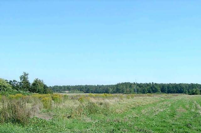 Zdjęcie do wpisu: RETRO RURZYCA