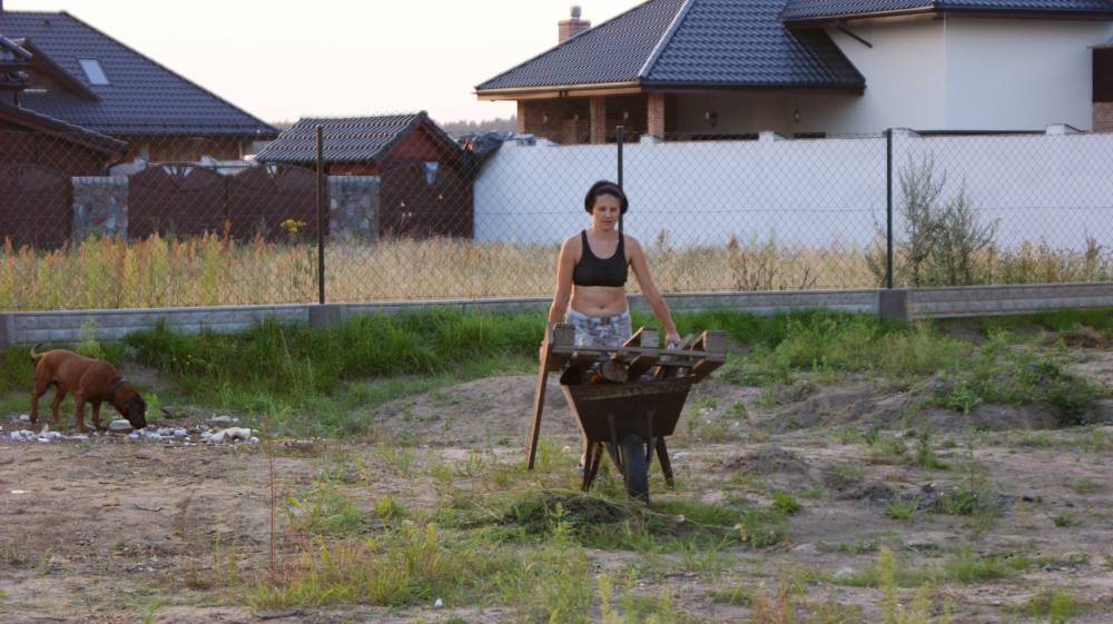 blog budowlany - mojabudowa.pl