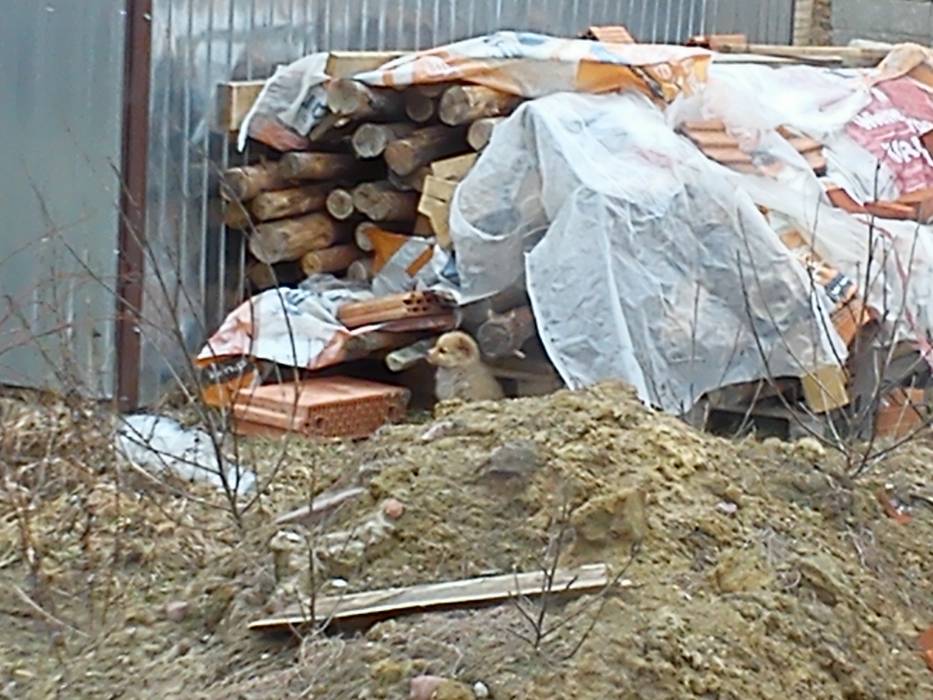 blog budowlany - mojabudowa.pl