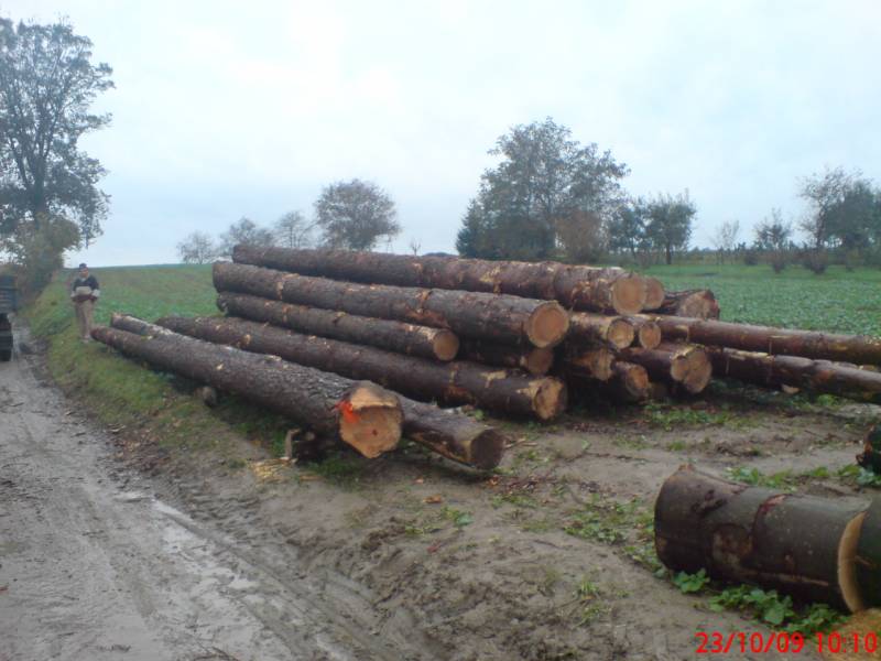 Zdjęcie do wpisu: Będzie dach