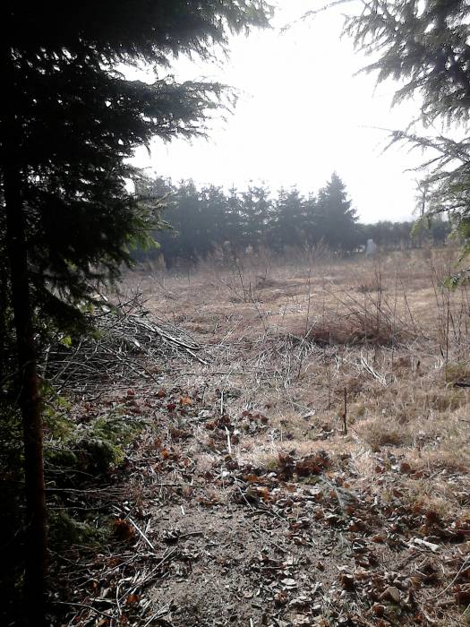 Zdjęcie do wpisu: Dzień dobry