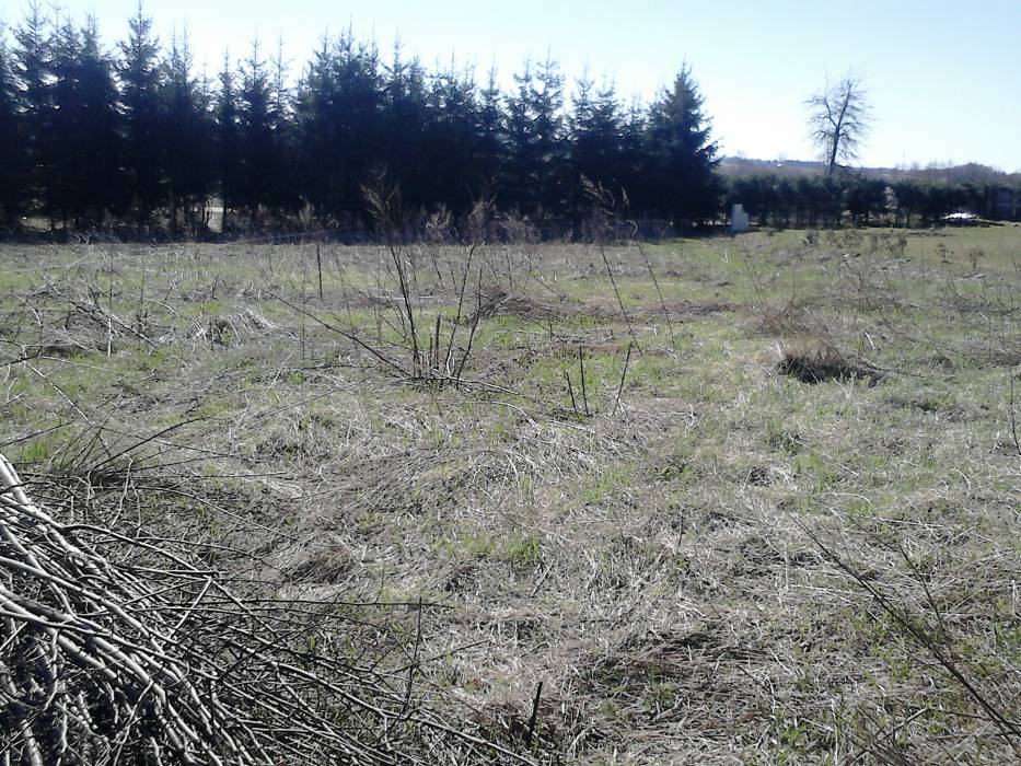 Zdjęcie do wpisu: Dzień dobry