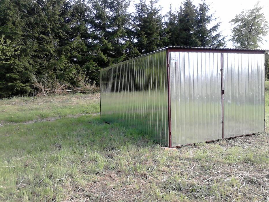 Zdjęcie do wpisu: Dzień dobry