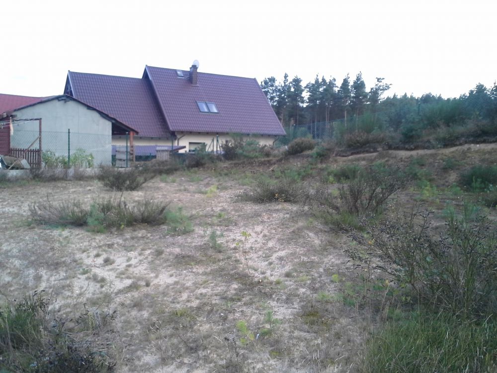 blog budowlany - mojabudowa.pl