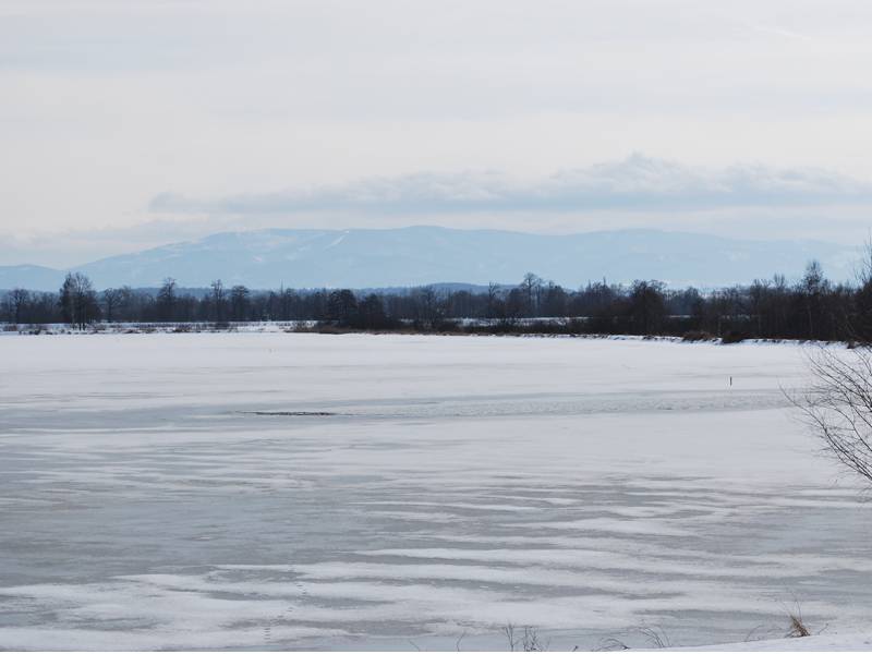 mojabudowa.pl - blog budowlany