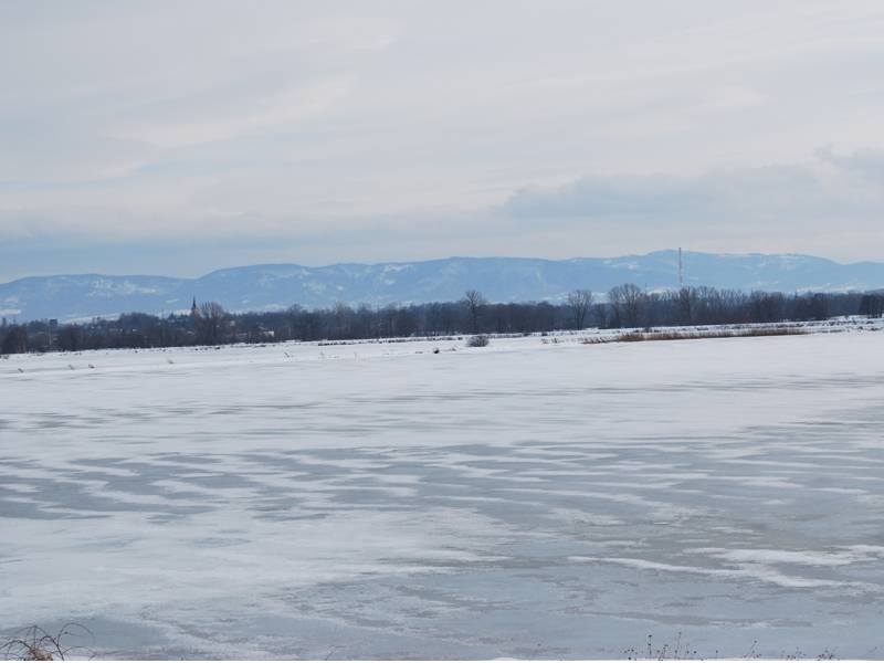 mojabudowa.pl - blog budowlany