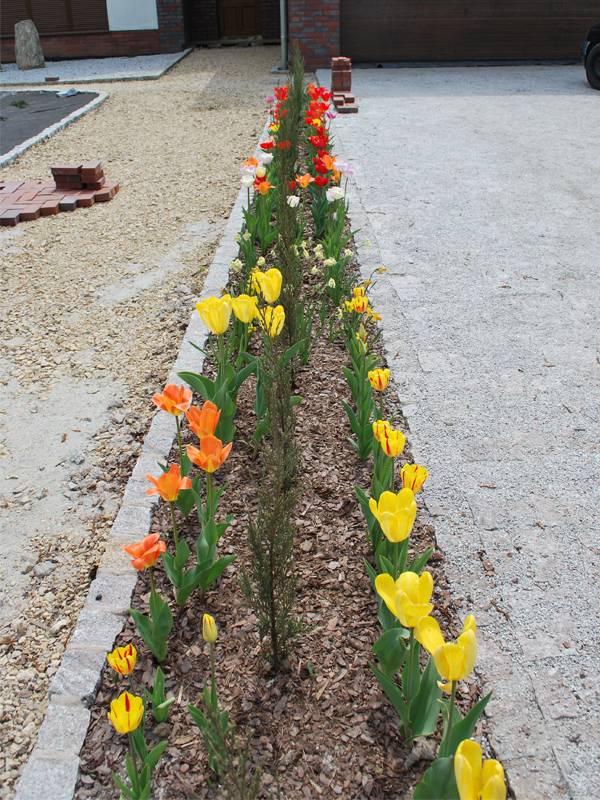 mojabudowa.pl - blog budowlany