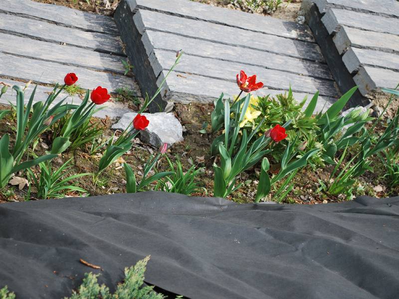 mojabudowa.pl - blog budowlany