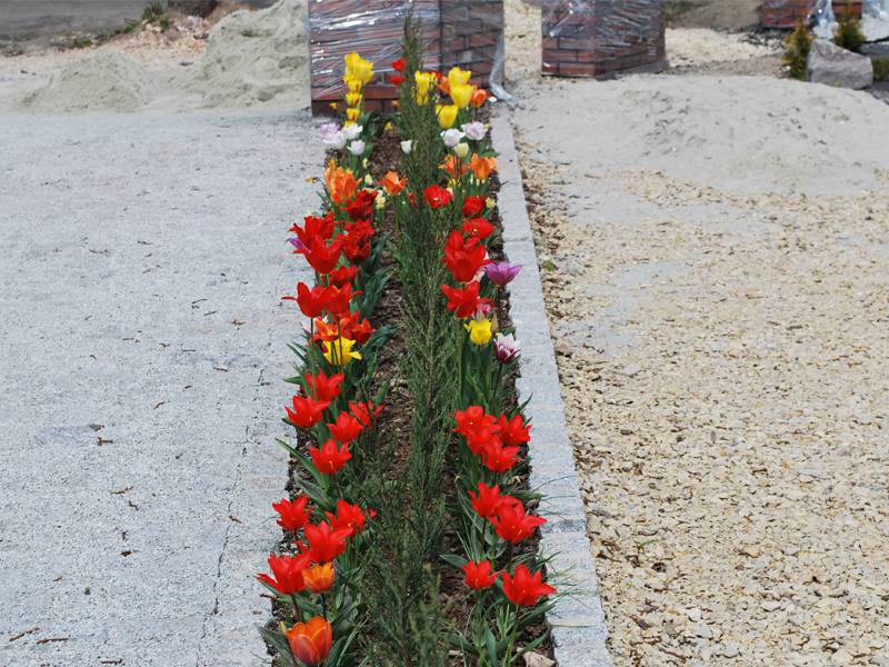 mojabudowa.pl - blog budowlany