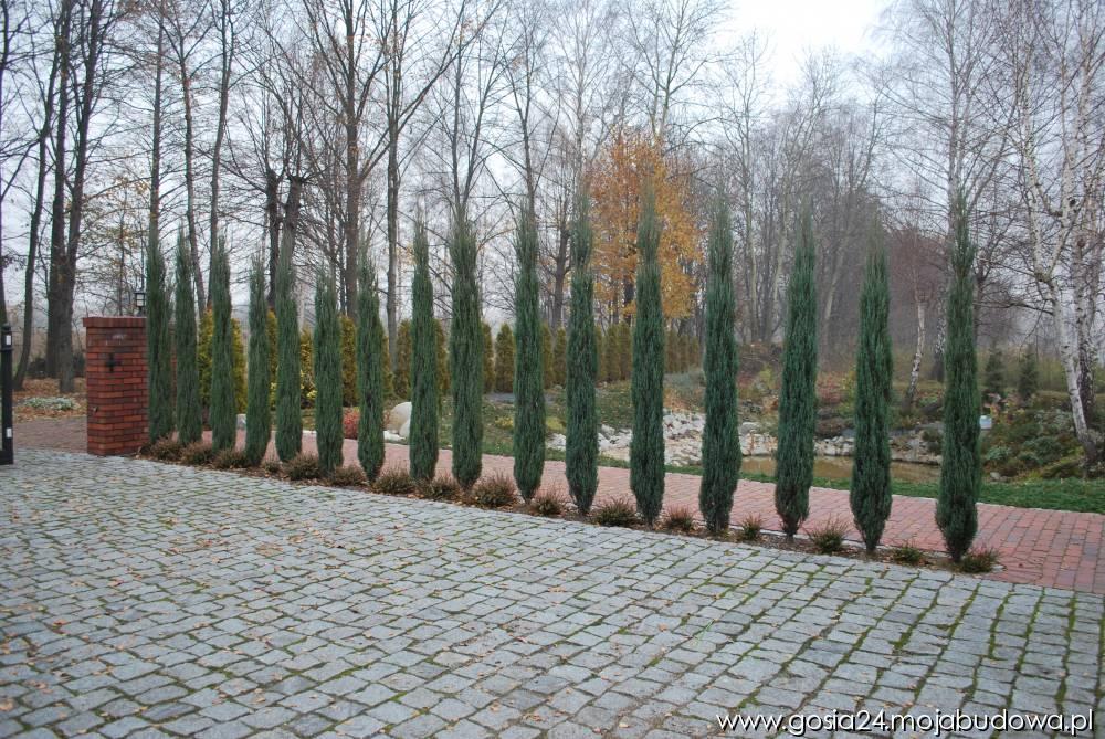 blog budowlany - mojabudowa.pl