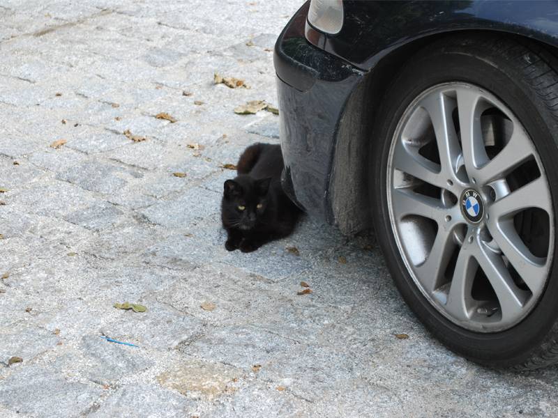 mojabudowa.pl - blog budowlany