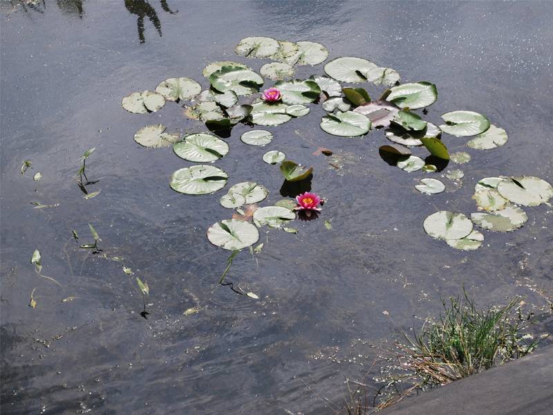 mojabudowa.pl - blog budowlany