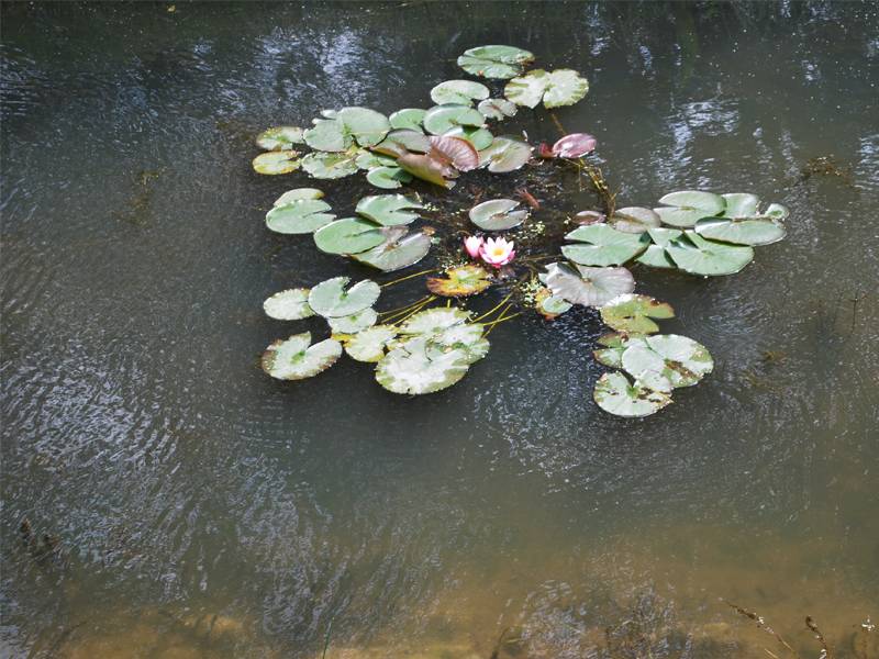 mojabudowa.pl - blog budowlany