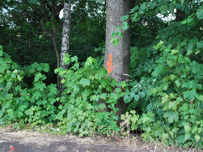 mojabudowa.pl - blog budowlany