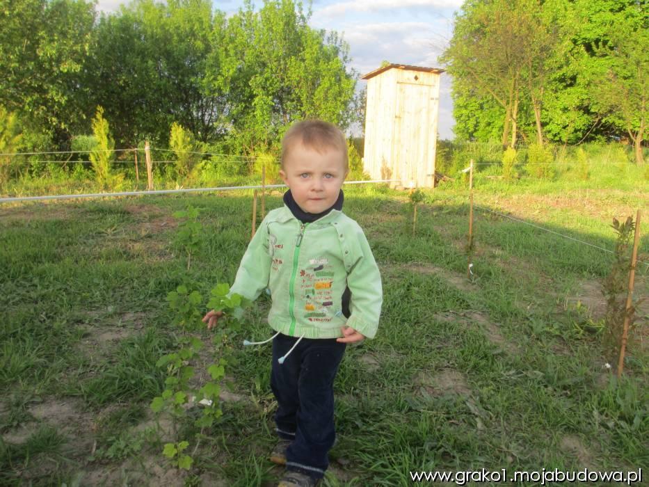 blog budowlany - mojabudowa.pl