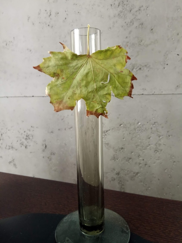 mojabudowa.pl - blog budowlany