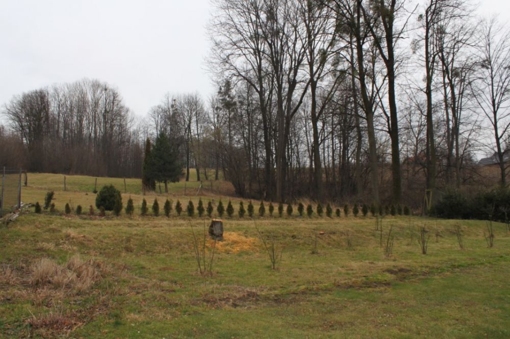 Zdjęcie do wpisu: Guliwer 2015