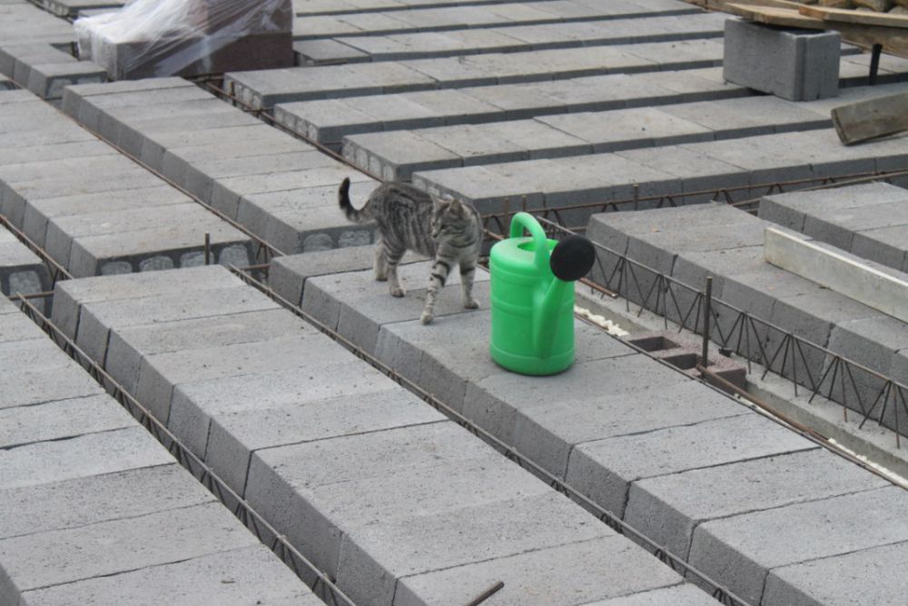 Zdjęcie do wpisu: Kolejna porcja zdjęć Guliwerka ;)