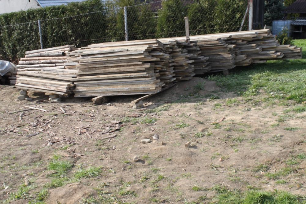 Zdjęcie do wpisu: Pierwsze koty za płoty