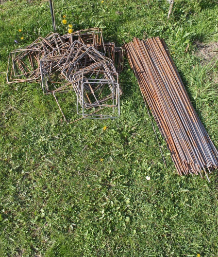 Zdjęcie do wpisu: Pierwsze koty za płoty