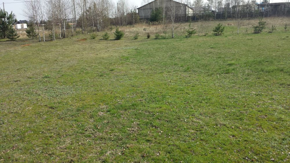 Zdjęcie do wpisu: Działka