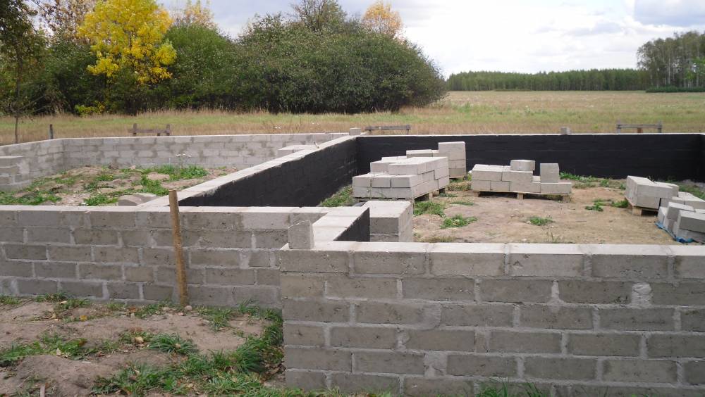 Zdjęcie do wpisu: c.d.