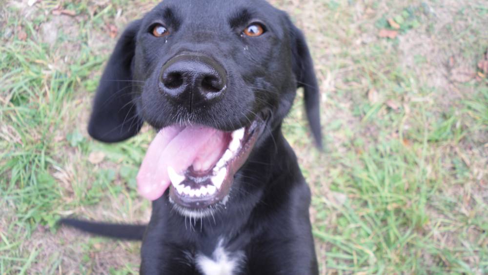 Zdjęcie do wpisu: c.d.